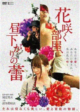 时代剧韩剧大片落雪之城海报